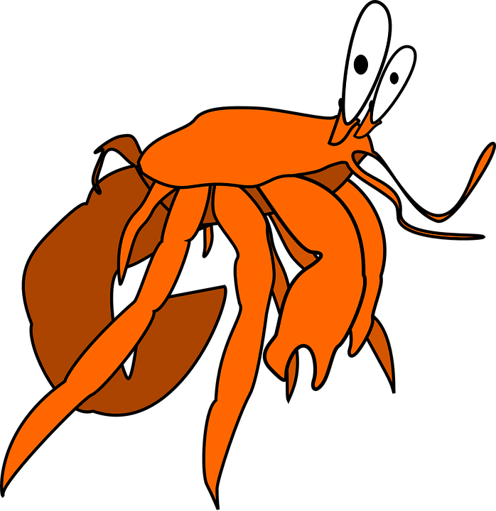 Free Shop Of Library Buy Clip Art - Hermit Crab Vector Free (698x720)