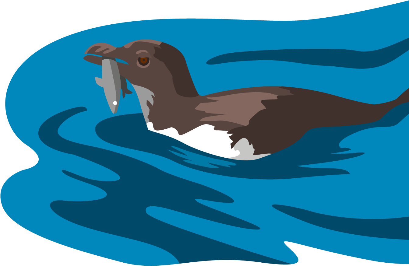 Bird In Water With Fish In Its Mouth - Illustration (1500x1500)