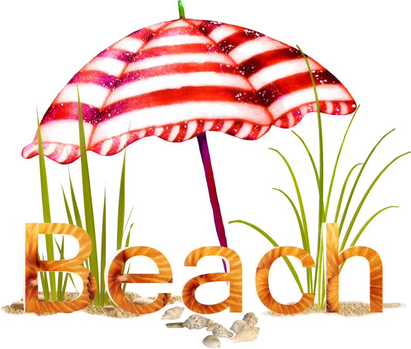 Beach Png By Heemipetal2004 - Beach (800x679)