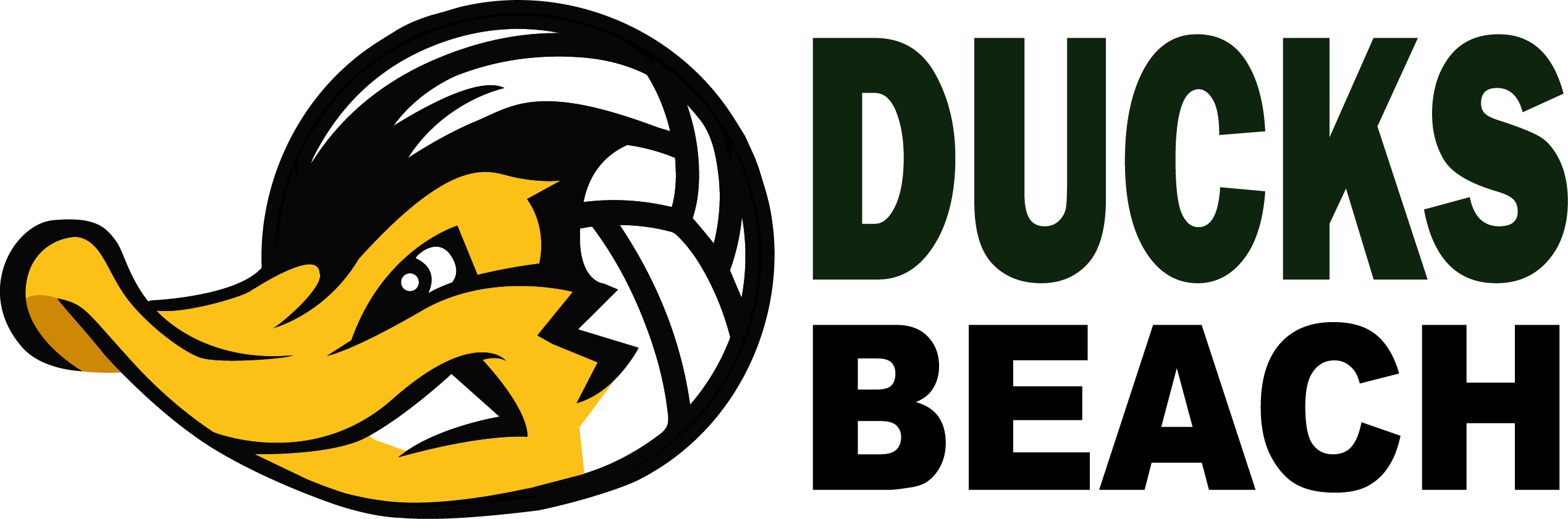 Aliexpress Sale Dates 2018 (2538x841)