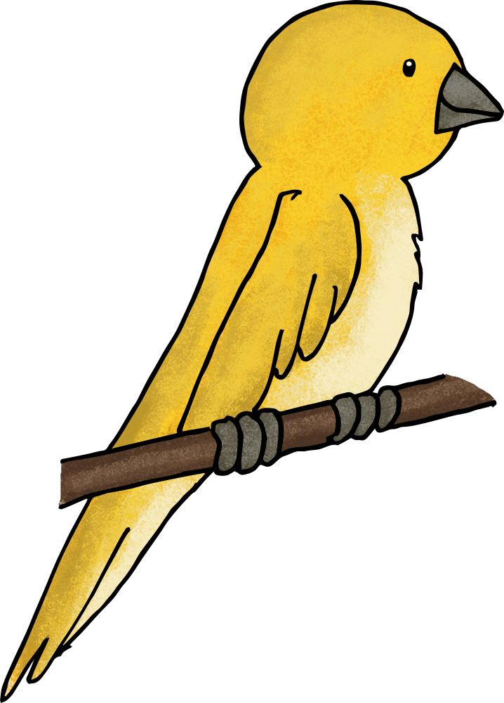 What It Is - Parrot (718x1000)