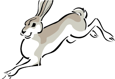 Jackrabbit Drawing Arctic Hare - Jackrabbit Clip Art (450x300)