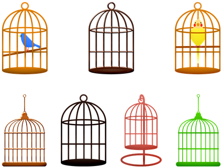Birdcage, Birds, Colorful, Cage, Animal - Cage (441x335)