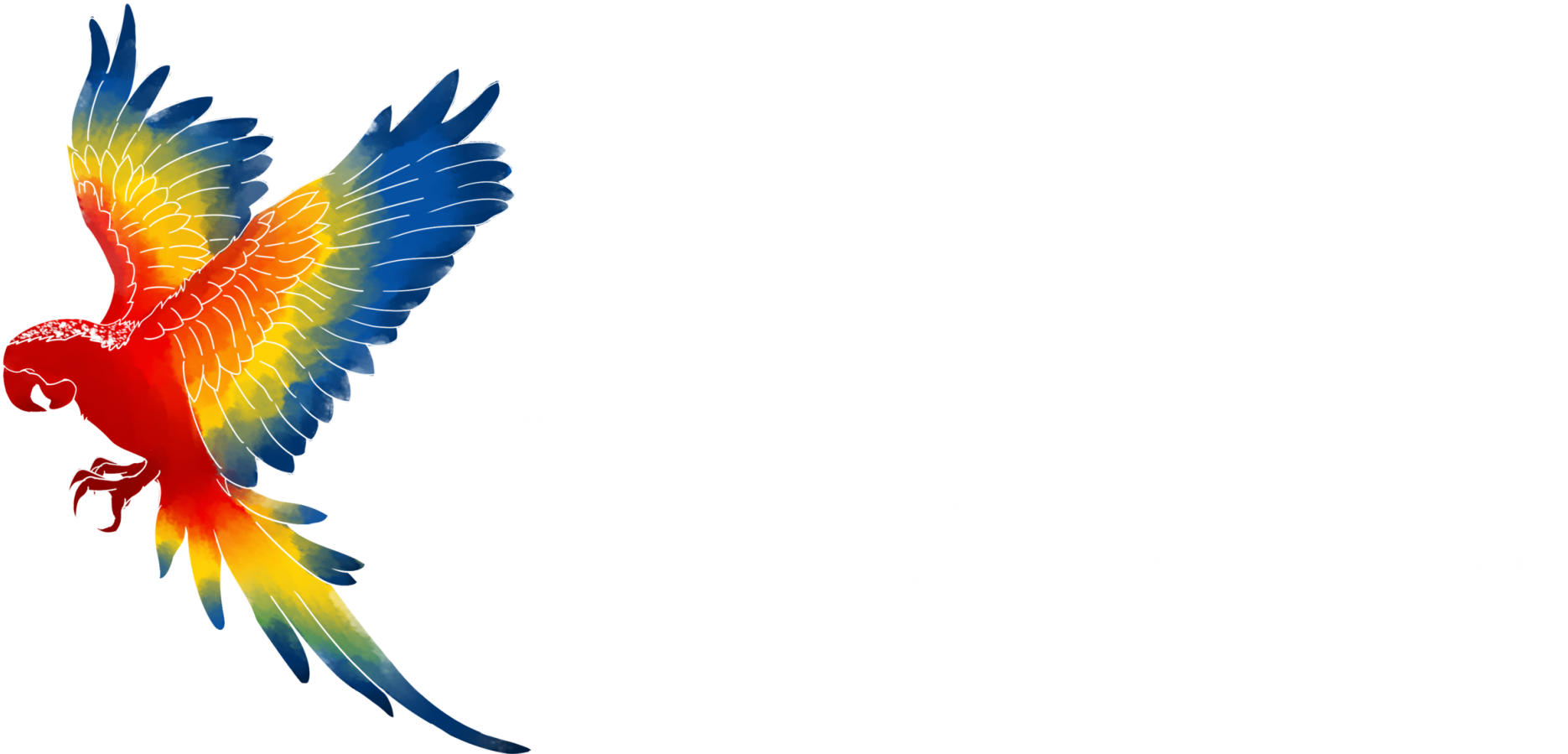 Exotical Birds - Brazilian Bird Png (2048x900)