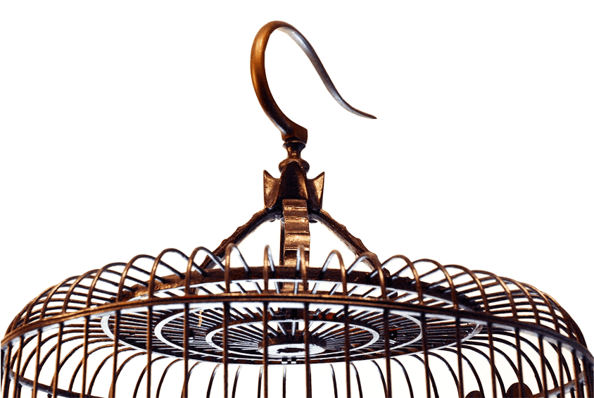 Read More » - Read More » (900x600)