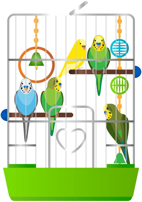 Download Cage With Parrots Clipart Png Photo - Birds In The Cage Clipart (480x683)