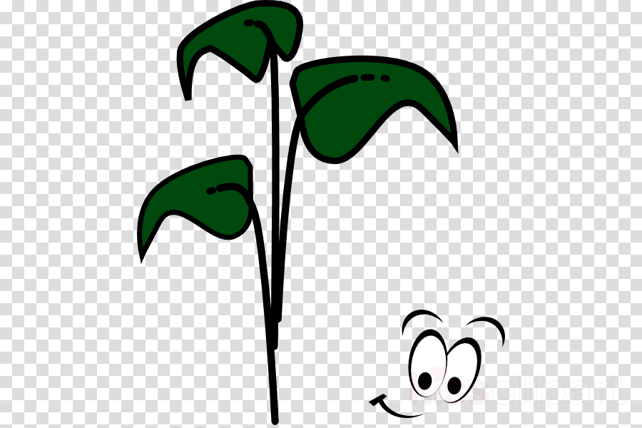 Bean Sprout Cartoon Clipart Sprouting Bean Clip Art - Picsart Editing Girl Background Hd (900x600)