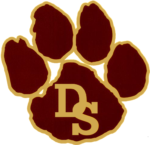 Reasons Why You'll Want Your Kids To Attend Dripping - Dripping Springs High School Logo (524x504)