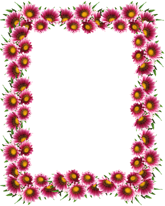 Frame, Border, Sun Daisies - Picture Frame (566x720)