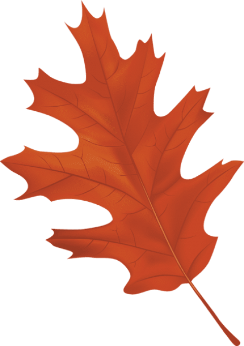 Free Png Download Brown Autumn Leaf Clipart Png Photo - Autumn Leaf Clipart Png (481x681)