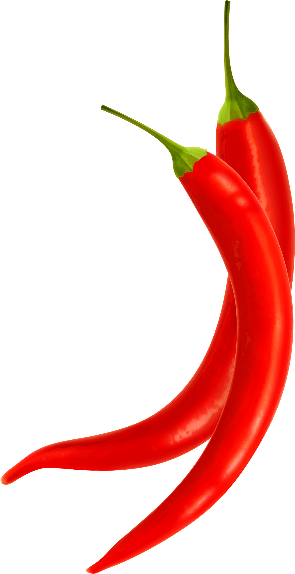 Download - Bird's Eye Chili (2048x2048)