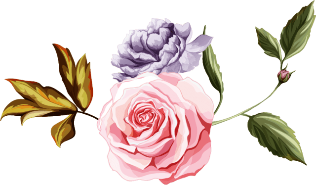 Floral Design - Garden Roses (640x374)