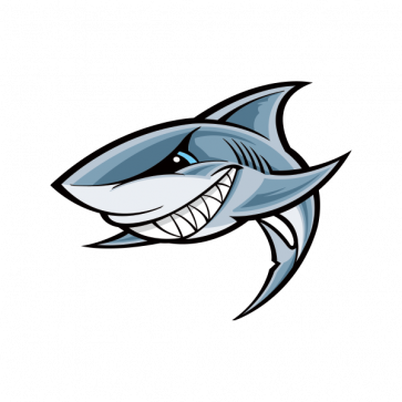 Printed Vinyl Cartoon Shark Showing Teeth 01777 Stickers - Cartoon Shark Png (363x363)