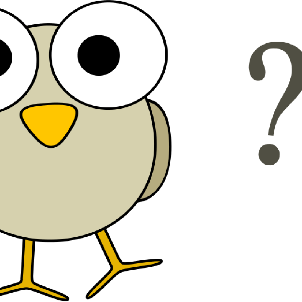 Free Clip Art Question Mark Free Clipart Grey Bird - Owl Question Mark (1024x1024)