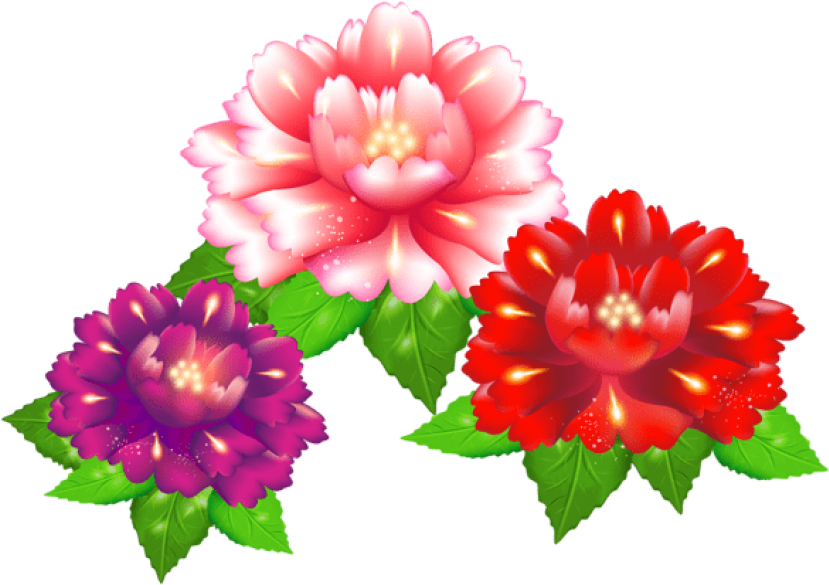 Free Png Download Exotic Flowers Png Images Background - Illustration (850x608)