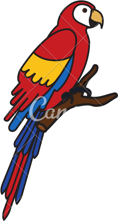 Exotic Parrot In Branch Tropical Bird - Macaw (800x800)