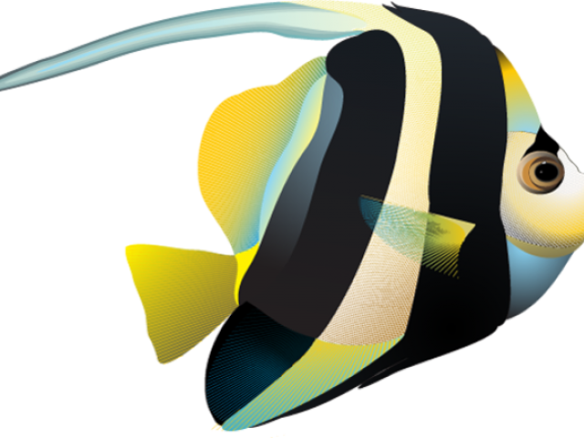 Tropical Fish Clipart Bird - Tropical Fish (640x480)