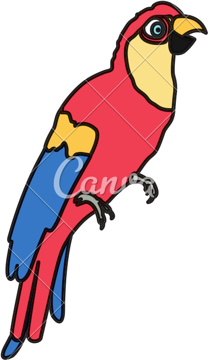 Color Tropical Parrot Bird Animal Style - Macaw (800x800)