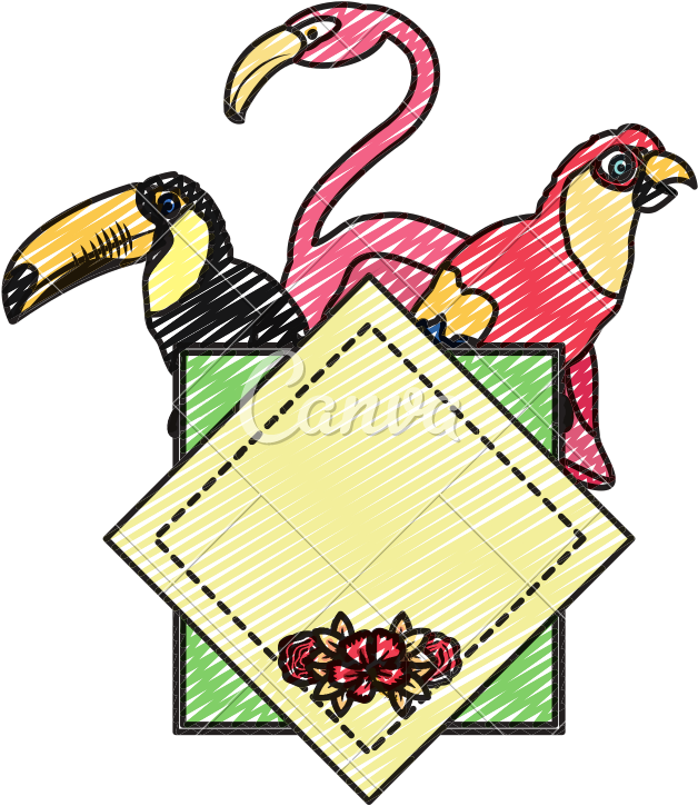 Doodle Tropical Emblem Pelican With Parrot And Flemish - Bird (800x800)