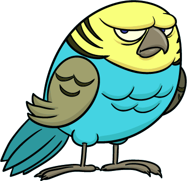 Tropical Bird - Tropical Bird (372x360)