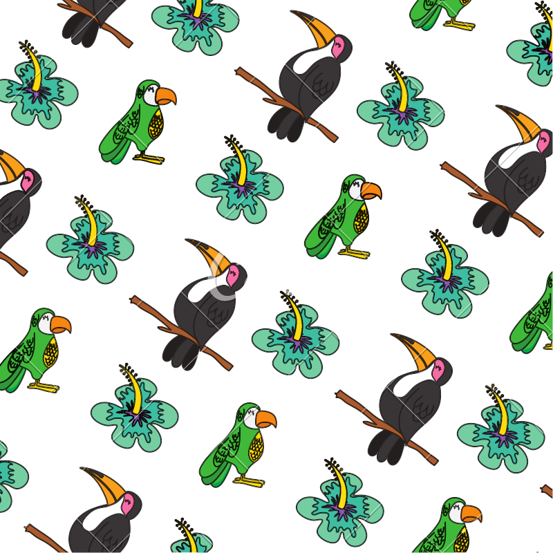 Color Exotic Bird And Tropical Flower Background - Color Exotic Bird And Tropical Flower Background (800x800)