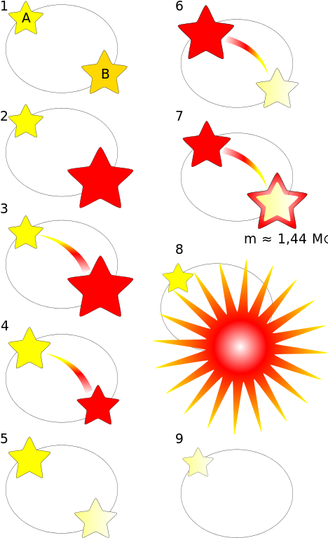 This Image Rendered As Png In Other Widths - Type Ia Supernova Creation (500x783)