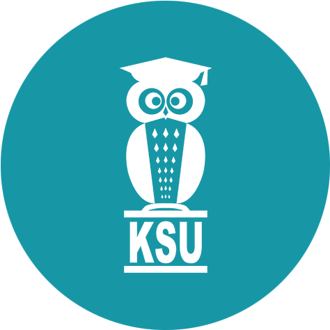 Driver Icon 01 - Ksu Malta (500x500)