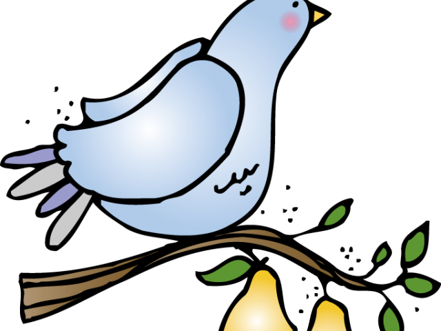 Hallway Clipart Clip Art - Partridge In A Pear Tree Clipart (640x480)