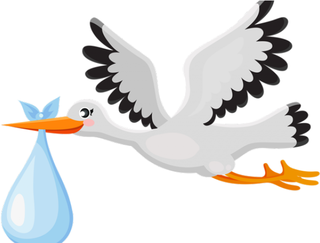 Stork Clipart Clip Art - Stork With Baby Png (640x480)