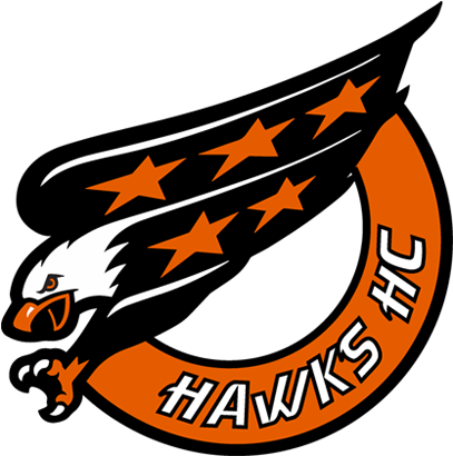Hawks Hockey Club - Washington Capitals Old Logo Eagle (500x500)