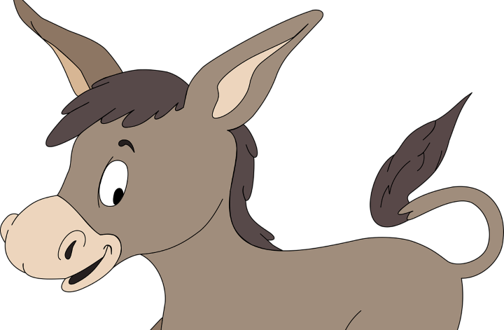 Magar - Transparent Background Donkey Clip Art (720x471)