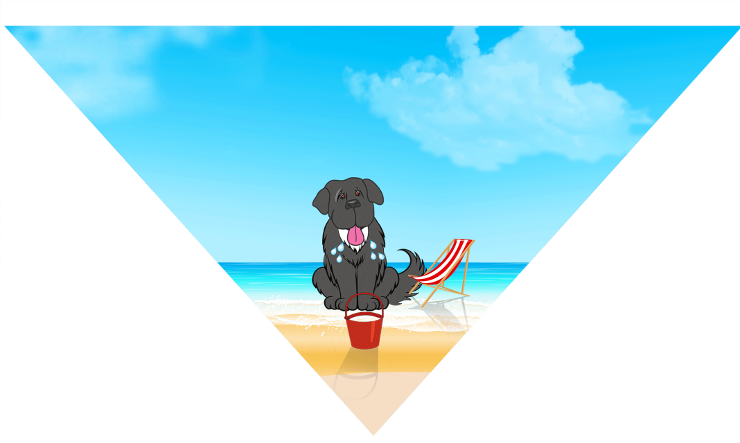 Bandanas - Illustration (1068x640)