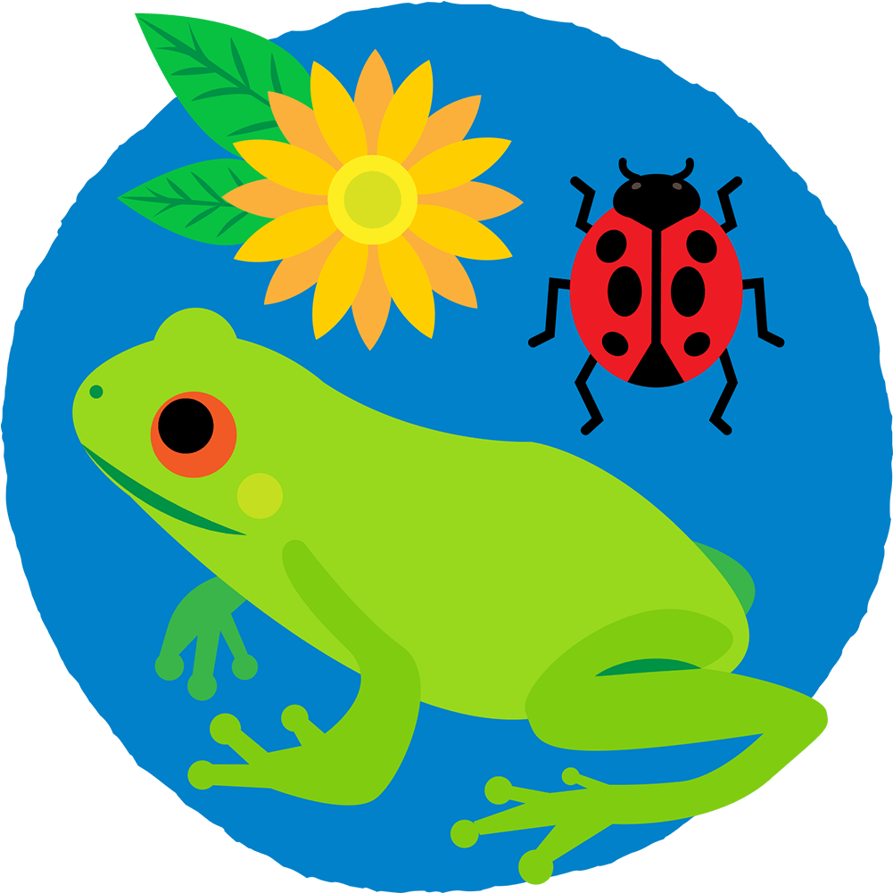 Frog, Ladybug And Flower In A Circle - Ology (1000x1200)
