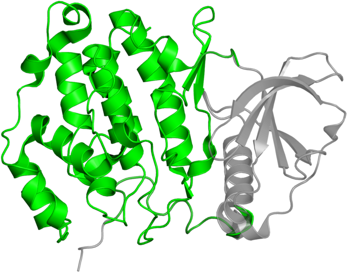 <div Class='caption-body'>1 Copy Of Cath Domain < - Illustration (800x800)