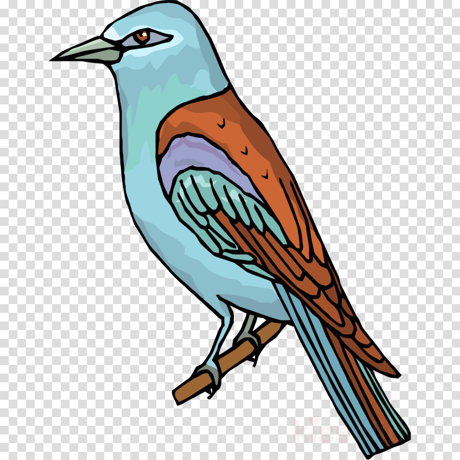 Bird Clip Art Clipart Bird Clip Art - Saturn Clipart Black And White Jpg (900x900)