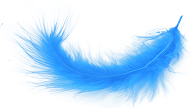 Blue Feather Transparent Png Stickpng - Blue Feather Png (400x400)