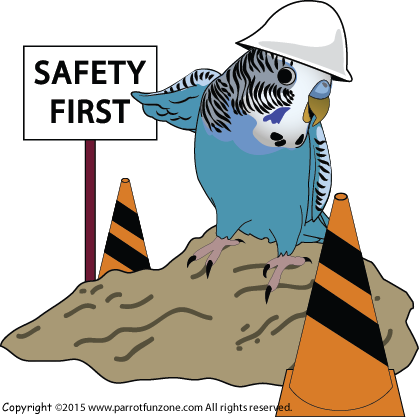 Make Things Safe Our Pet Birds Are - Safety First Clip Art (419x417)