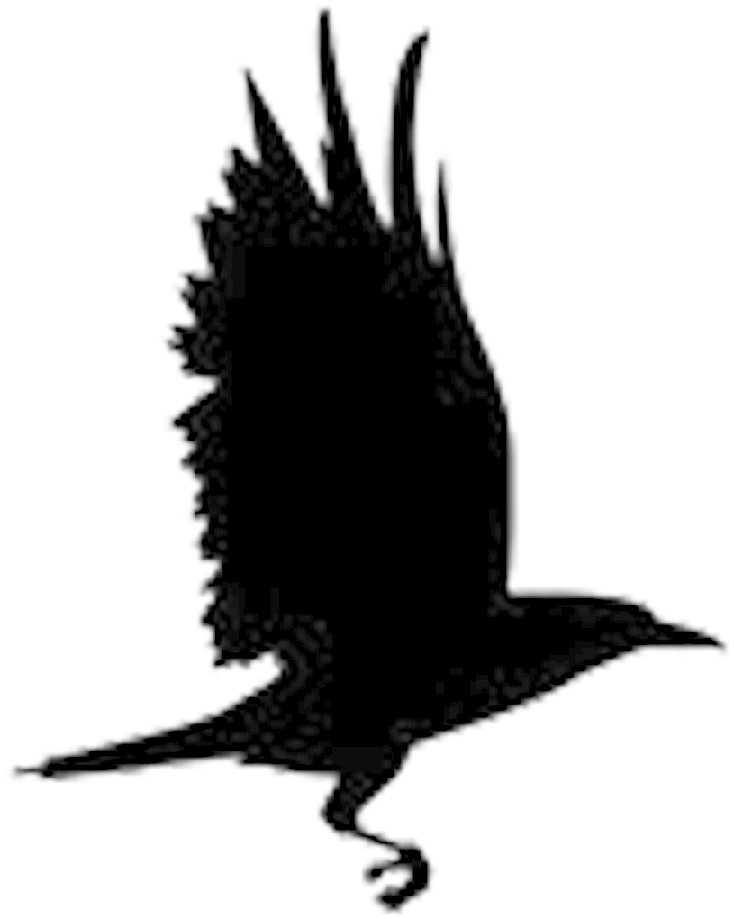 992 X 1026 9 - Raven New Hope Logo (992x1026)