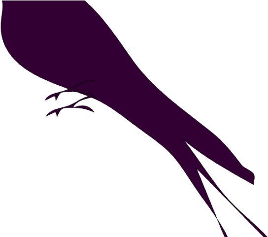 Raven Clipart Mockingbird - Blue Bird (640x480)