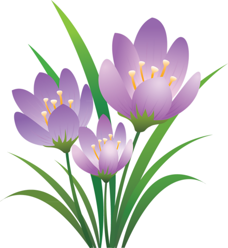 Color Mixing, Trees To Plant, Art Pictures, Clip Art, - Blank Paper (461x500)