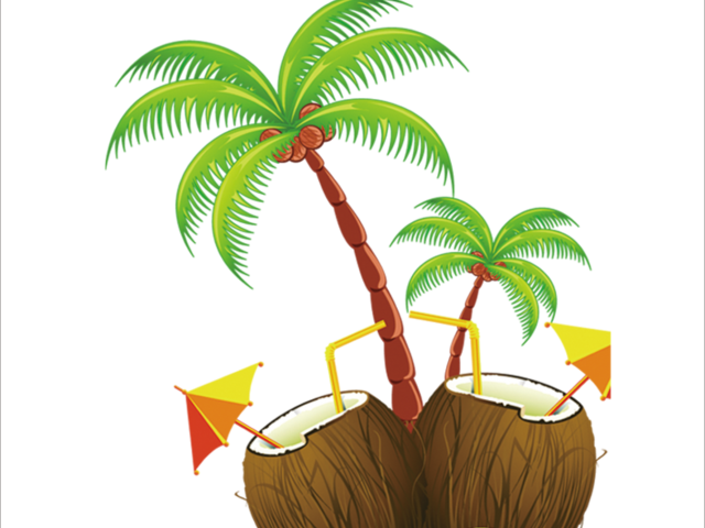 Coconut Clipart Hawaii Coconut - Coconut Tree Clipart Png (640x480)