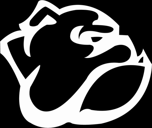 Marching Band Shoe - Barry Goldwater High School Logo (498x419)