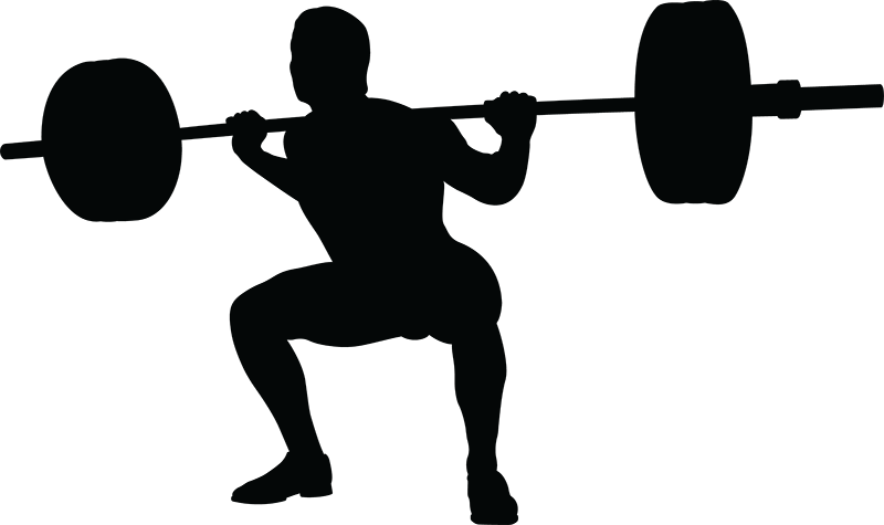 800 X 475 8 0 - Squat Clip Art (800x475)