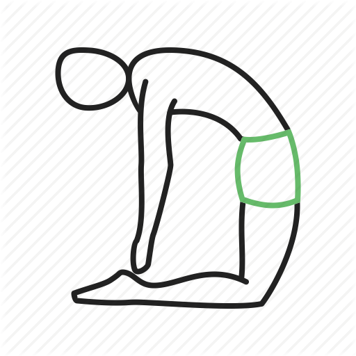 Camels Clipart Body - Illustration (512x512)