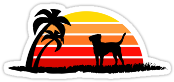 Labrador Retriever On Sunset Beach By Nesttonest - Dog (375x360)