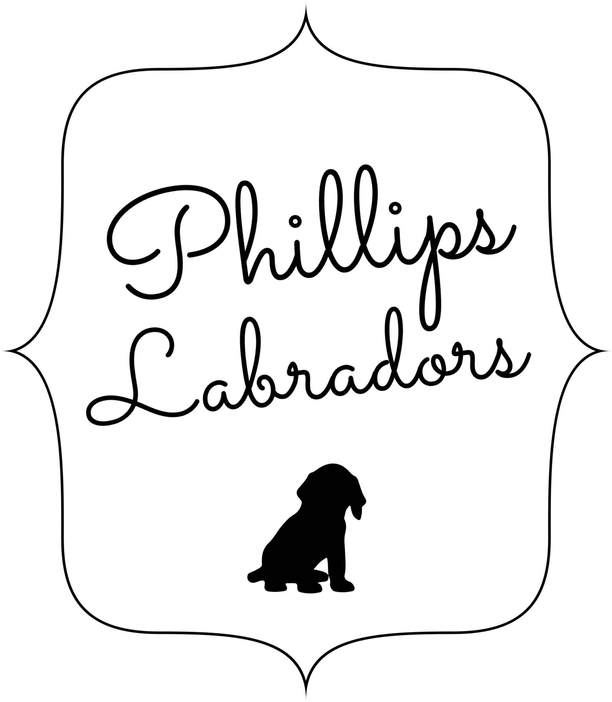 English White Labradors - Silhouette (2096x2406)