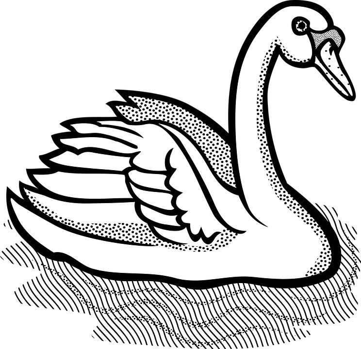 Animal Free Vector Graphic On Pixabay Vogel - Swan Clipart Black And White (744x720)