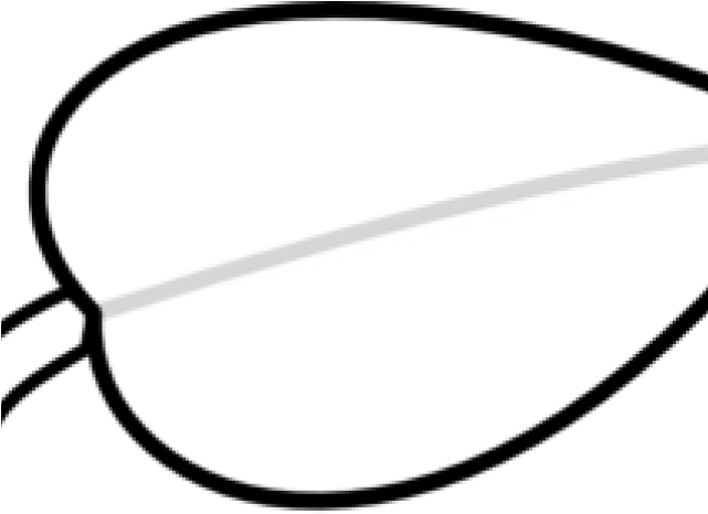 Leaves Clipart Plain - Circle (640x480)