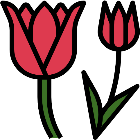 Tulip Free Icon - Tulip Free Icon (512x512)