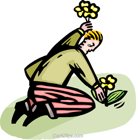Man Planting Flowers Royalty Free Vector Clip Art Illustration - Man Planting Flowers Royalty Free Vector Clip Art Illustration (468x480)